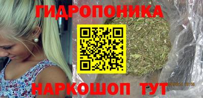дживик Славгород