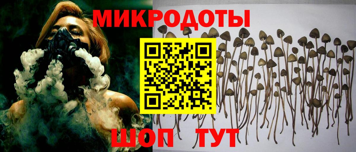 Балашиха  купить наркотик  Вход с VPN  Псилоцибиновые грибы Cubensis 