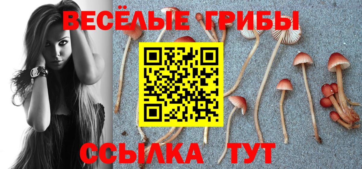 Псилоцибиновые грибы GOLDEN TEACHER Балашиха