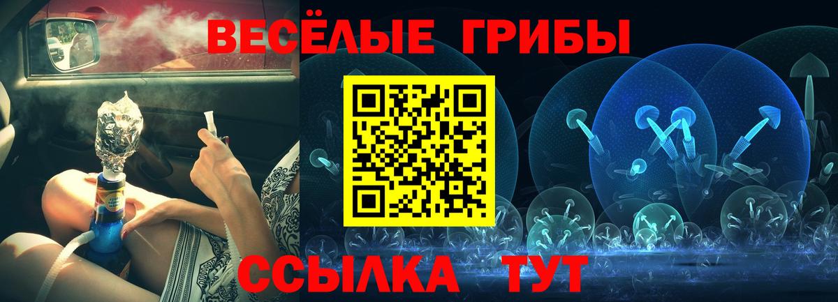 Галлюциногенные грибы Балашиха